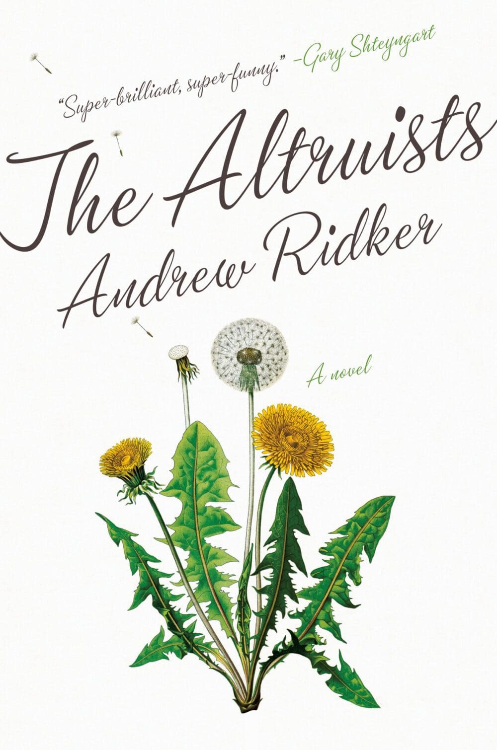 Q&A with Andrew Ridker: The Absurdity of the Facts of Things – ZYZZYVA