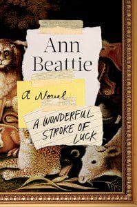 Ann Beattie novel A Wonderful Stroke of Luck